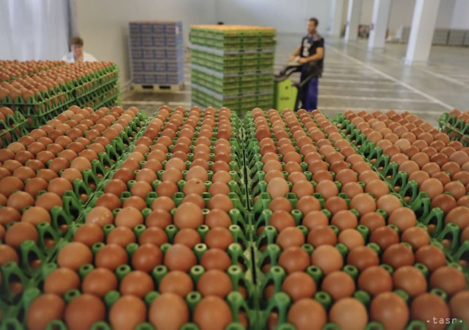 Eltűnhetnek az üzletek polcairól a szlovákiai tojások