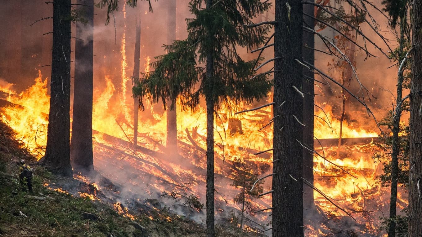 Továbbra is harcolnak az erdőtüzek ellen Oroszországban