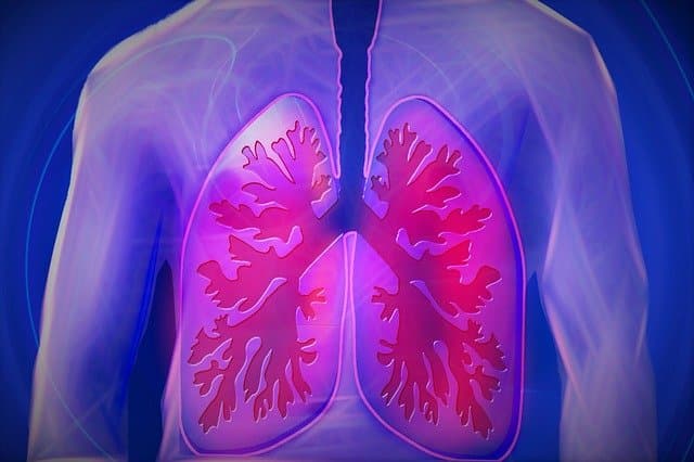 A tüdő "varázslatos" gyógyulásra képes a dohányzás abbahagyása után