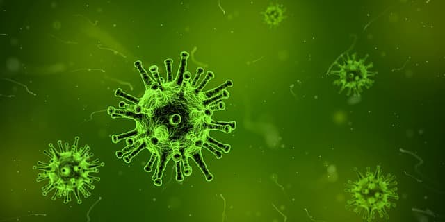 Horvátországban már hét halálos áldozata van az influenzajárványnak