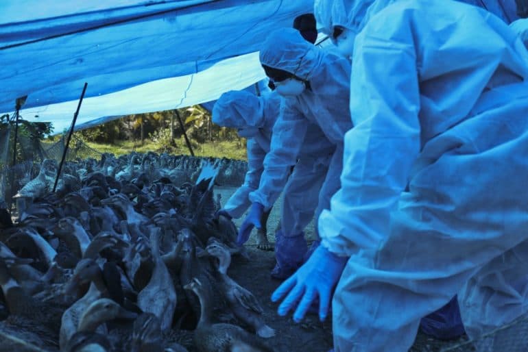 A világon elsőként H10N3 madárinfluenzával fertőződött meg egy férfi Kelet-Kínában