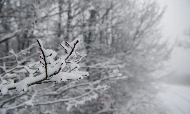 Közlekedési gondokat okozott a havazás Csehországban